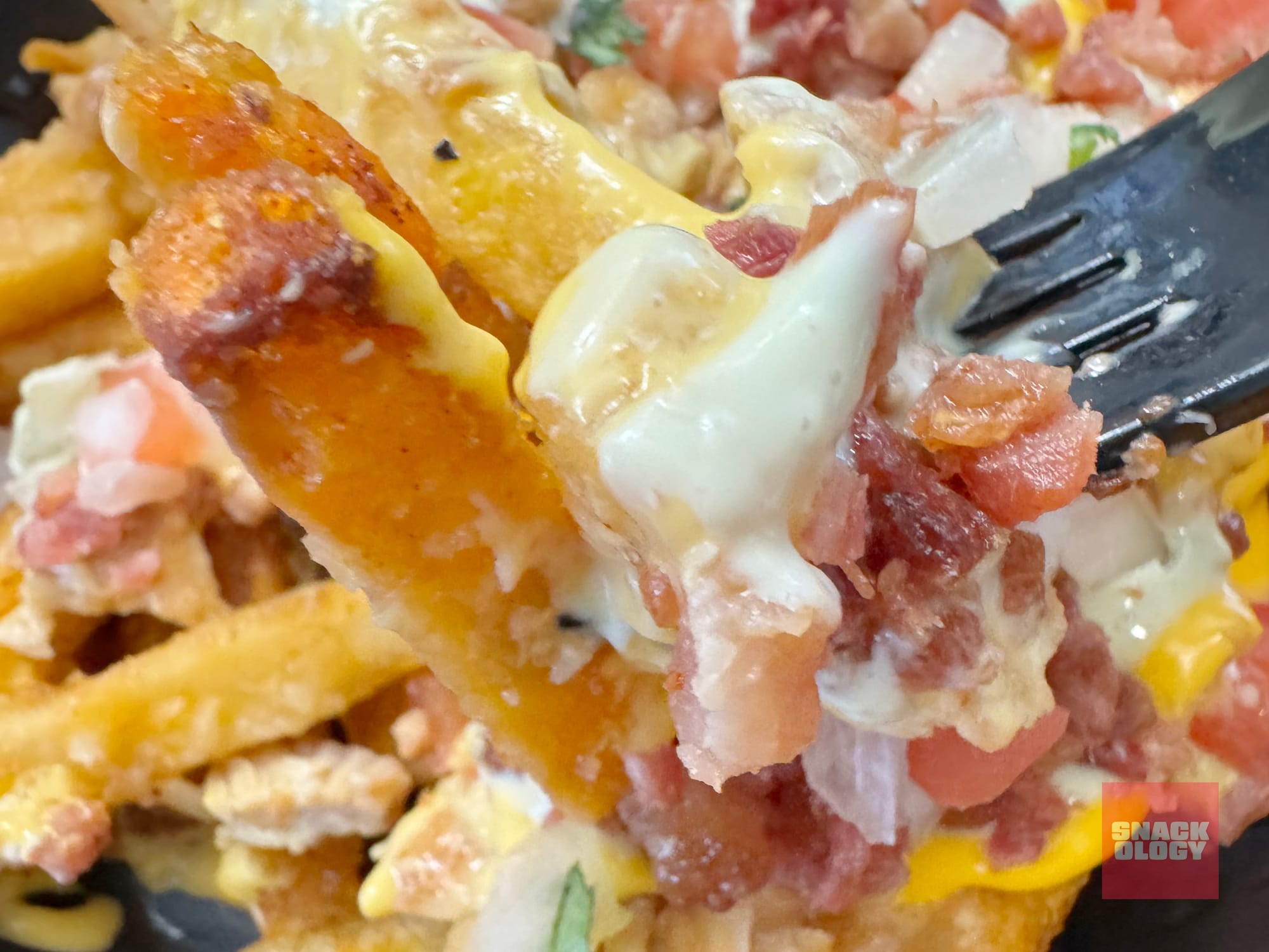 Chicken Bacon Ranch Nacho Fries