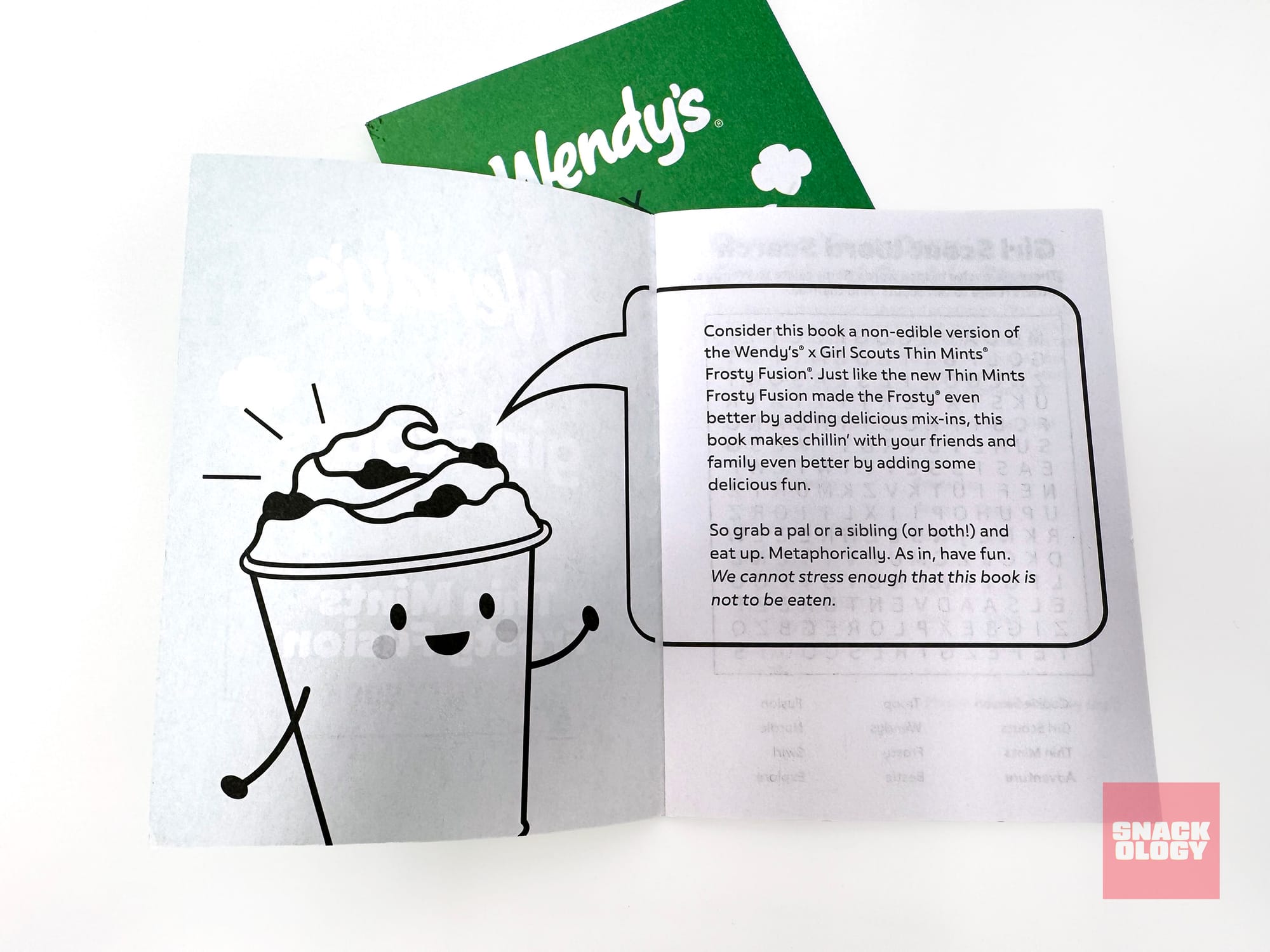 Wendy’s x Girl Scouts Thin Mints Frosty Fusion Activity Book