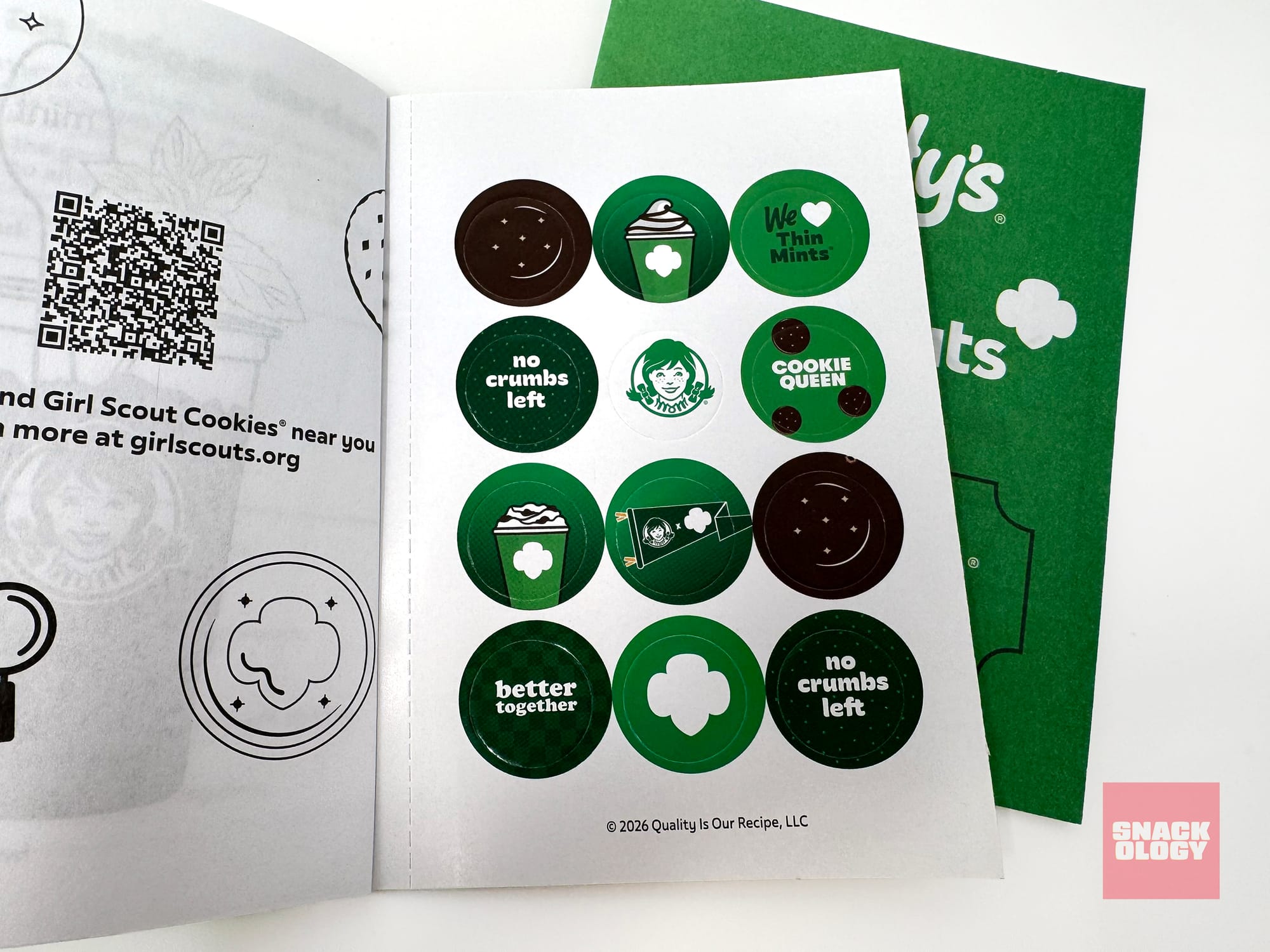 Wendy’s x Girl Scouts Thin Mints Frosty Fusion Activity Book