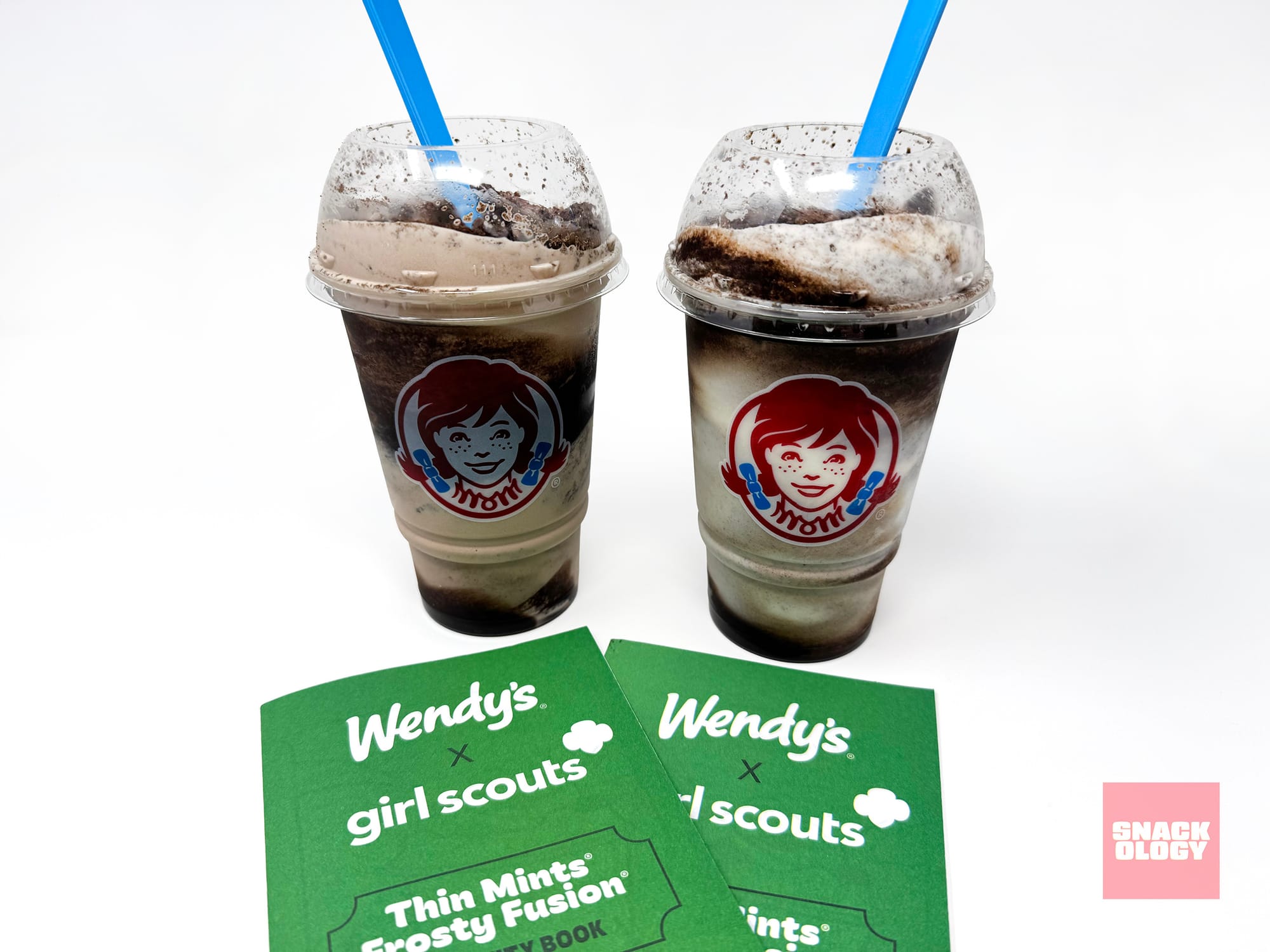 Girl Scout Thin Mints Chocolate Frosty Fusion, Girl Scout Thin Mints Vanilla Frosty Fusion and the Wendy’s x Girl Scouts Thin Mints Frosty Fusion Activity Book