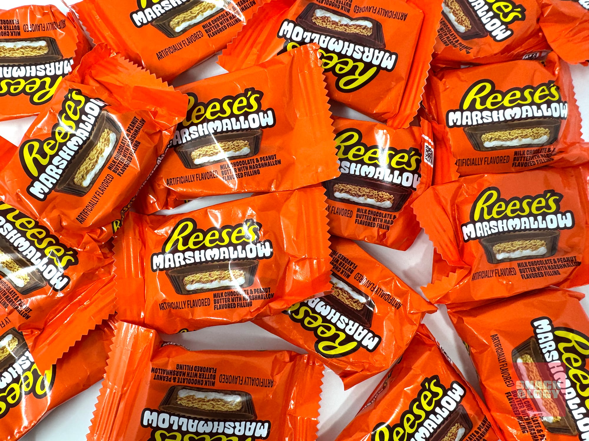 Reese’s Marshmallow Snack Size Peanut Butter Cups