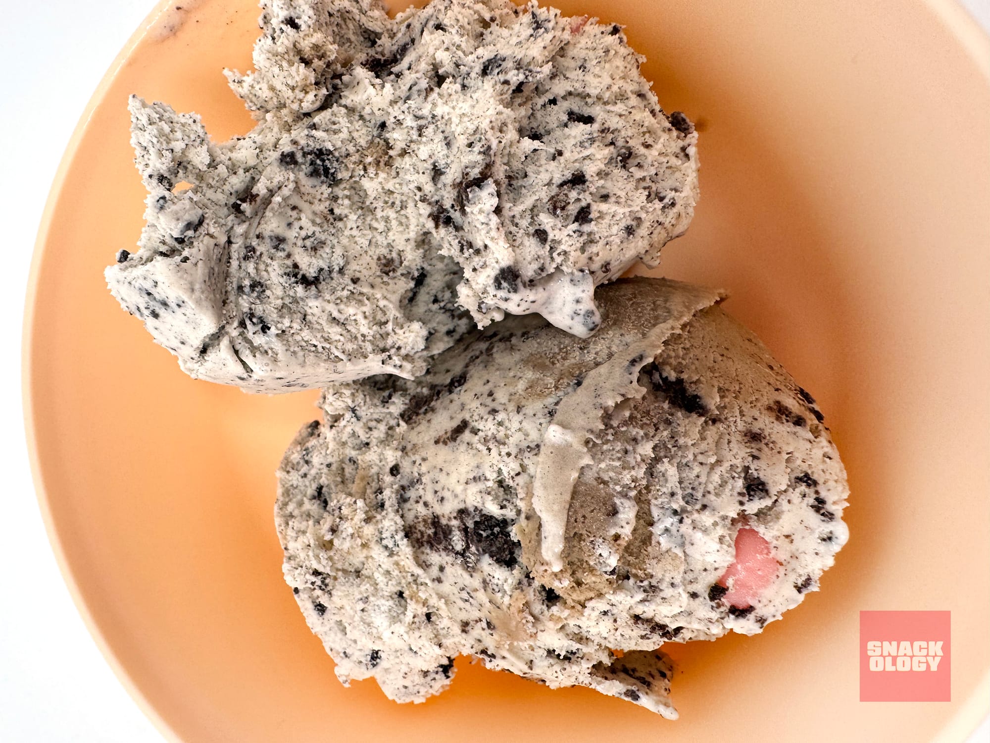 Hudsonville Dirt Cake Ice Cream