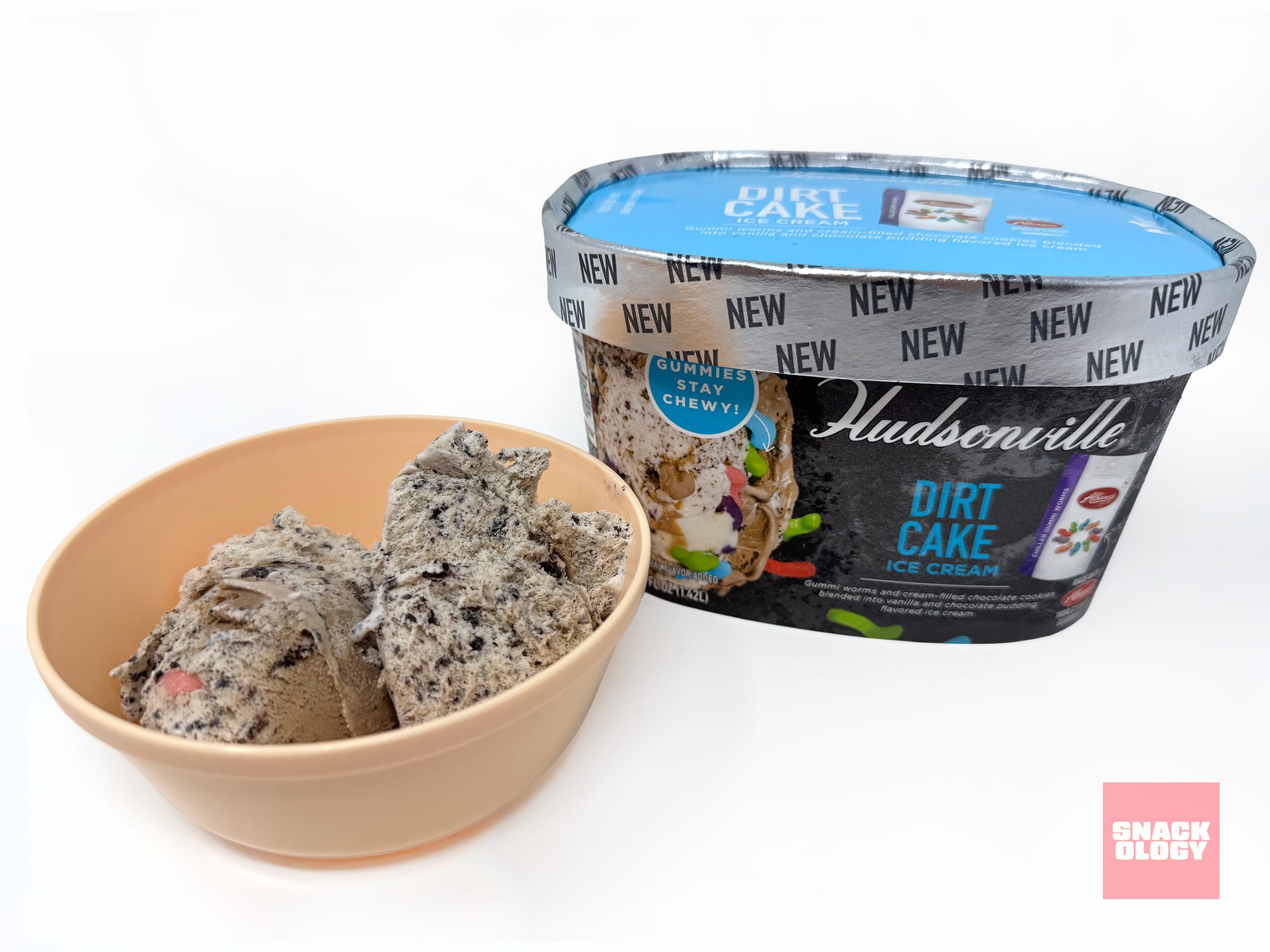 Hudsonville Dirt Cake Ice Cream