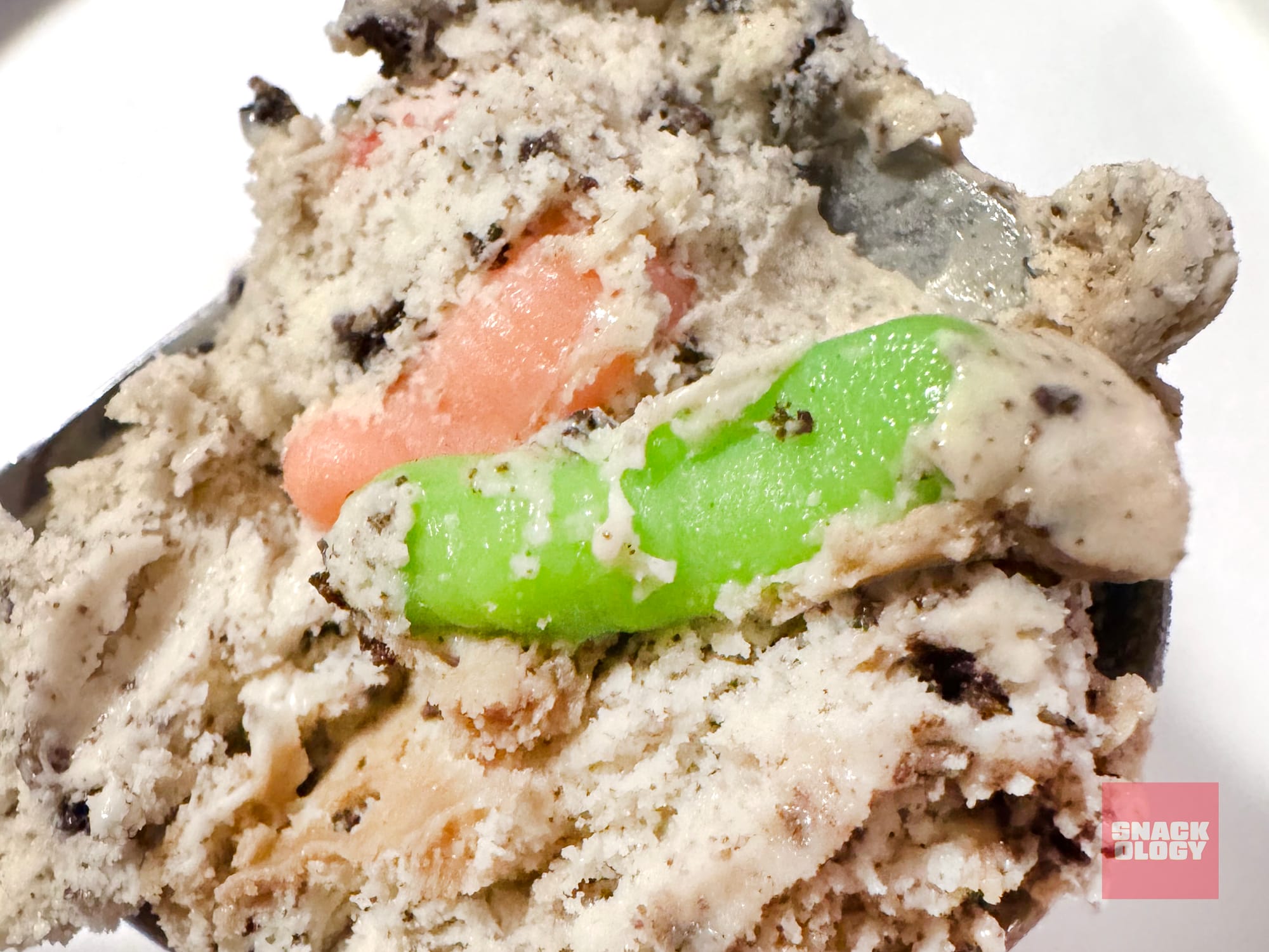 Hudsonville Dirt Cake Ice Cream