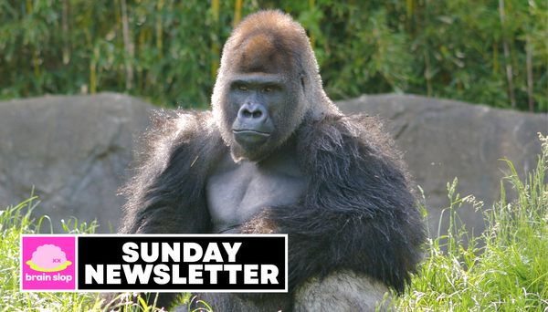 The week everyone asked if 100 men could fight a gorilla